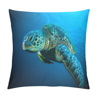 Personality  Sea Turtle On Coral Bunaken Sulawesi Indonesia Mydas Chelonia Underwater Photo Pillow Covers