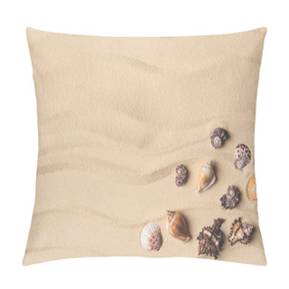 Personality  Beautiful Seashells Corner On Light Sand Pillow Covers