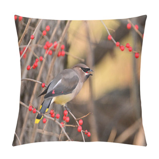 Personality  Close Up Of A Colorful Cedar Waxwing Bird Eating Red Berries  Pillow Covers