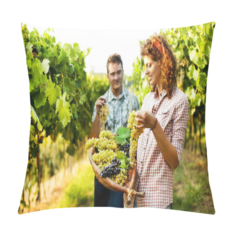 Personality  farmers harvesting  grapes in a vineyard pillow covers