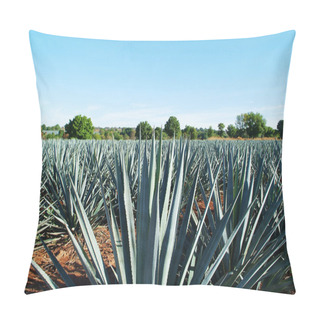 Personality  Tequila Landscape Pillow Covers
