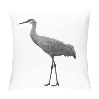 Personality  Sandhill Crane Bird Pillow Covers