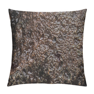 Personality  Top View Of Textured Wet Brown Stone Surface Pillow Covers