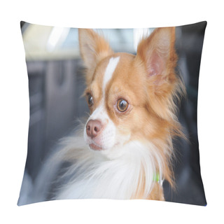 Personality  Cute Chihuahua Portrait Pillow Covers
