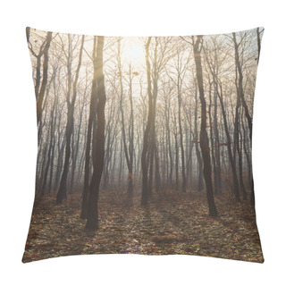 Personality  Foggy Day In A Oak Forest In Autumn Time In Hungary Pillow Covers