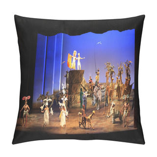 Personality  New York. Minskoff Theatre. The Lion King Pillow Covers