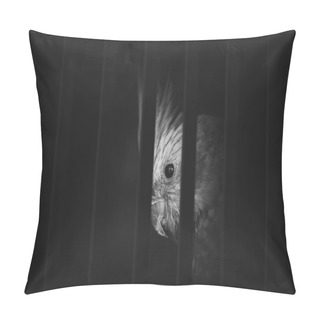 Personality  Photo Of A Bird In The Cage Suffering, Illegal Contraband Of Animals. Pillow Covers