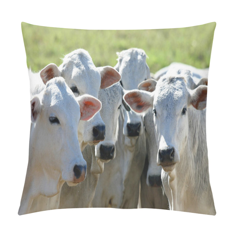 Personality  cattle pillow covers
