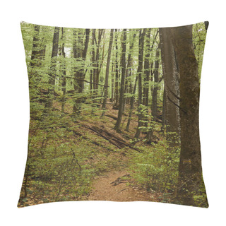 Personality  Narrow Path In A Green Mountain Forest, With Moss And Leaves On The Trees, Summer Forest Nature View Pillow Covers