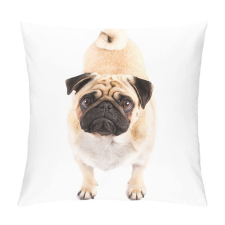 Personality  Pug! Pillow Covers