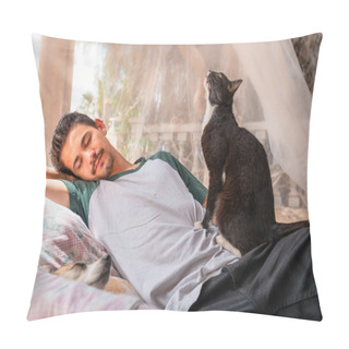 Personality  Young Man Sleeps In An Armchair In The Garden Under A Mosquito Net. A Cat Is Sitting On The Man's Side Pillow Covers