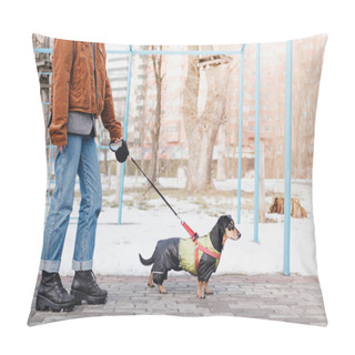 Personality  Walking A Dog On The Leash At Park. Female Person With A Dachshund At Walk, Snowy Season Pillow Covers