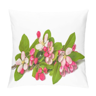 Personality  Apple Flowers Pillow Covers
