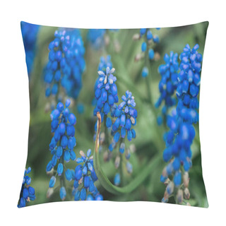 Personality  Close Up View Of Bright Colorful Blue Flowers And Green Leaves Pillow Covers