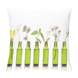 Personality  Natural Remedies, Aromatherapy - Bottle. Bottles Of Essential Oil With Herbs Holy Flower. Pillow Covers