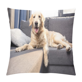 Personality  Golden Retriever Dog  Pillow Covers