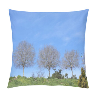 Personality  Spring Landscape With Leafless Trees Pillow Covers
