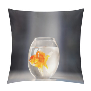 Personality  Fishbowl Pillow Covers