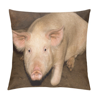 Personality  Portrait Of A Pig Farm Pillow Covers