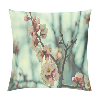 Personality  Branches Of A Blossoming Fruit Tree With Large Beautiful Buds Against A Bright Blue Sky Cherry Or Apple Blossom In Spring Season. Beautiful Flowering Fruit Trees. Natural Background. Toned Image. Pillow Covers