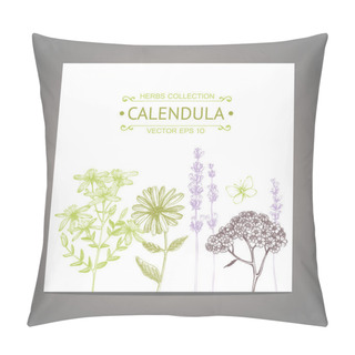 Personality  Background With Medical Herbs And Plants Pillow Covers