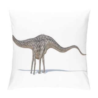 Personality  Photorealistic And Scientifically Correct 3 D Rendering Of A Dip Pillow Covers