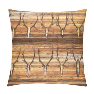 Personality  Collection Of Red Deer Trophies On Wood Background Pillow Covers