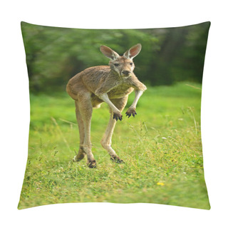 Personality  Kangaroo Pillow Covers