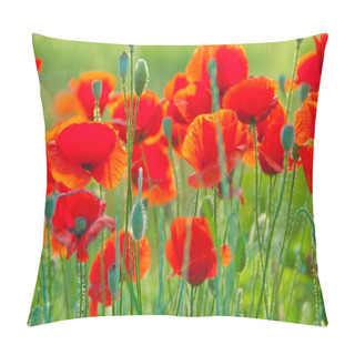 Personality  Vibrant Blooming Poppy Field In June Pillow Covers