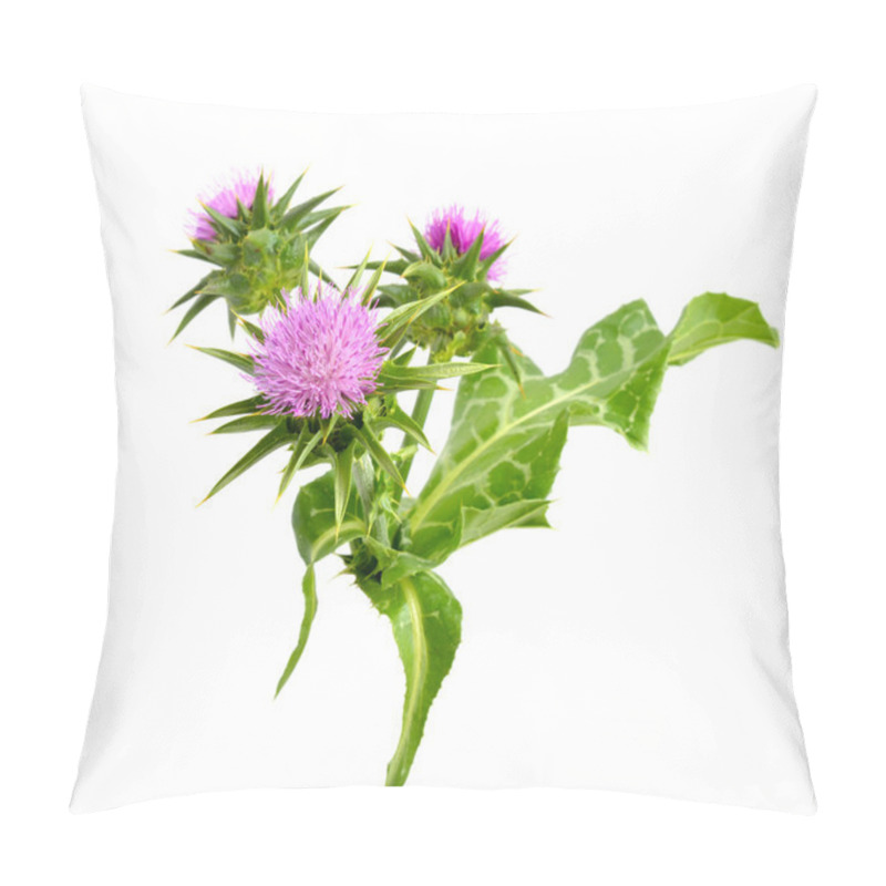 Personality  Milk Thistle Pillow Covers