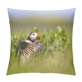 Personality  Puffin Flying Off Pillow Covers