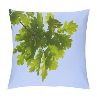 Personality  Oak Leaves In Backlighting Pillow Covers
