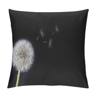 Personality  Dandelion Loosing Seeds In The Wind Pillow Covers