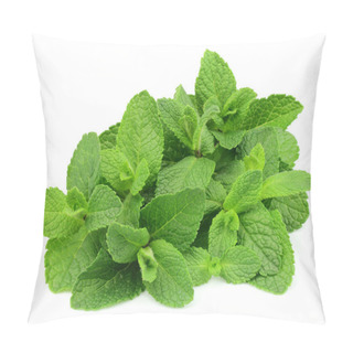 Personality  Mint Leaf Close Up Pillow Covers