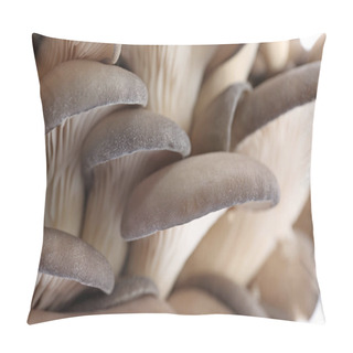 Personality  Delicious Organic Oyster Mushrooms As Background, Closeup Pillow Covers