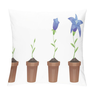 Personality  Stages Of Growth, Beautiful Blue Flower (lily) Pillow Covers