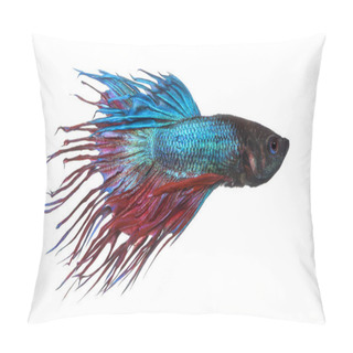 Personality  Side View Of A Siamese Fighting Fish, Betta Splendens, Isolated  Pillow Covers