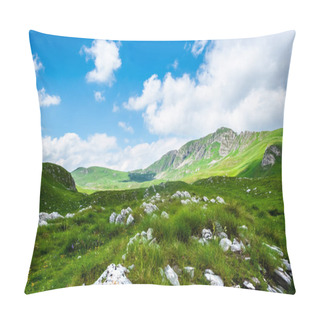 Personality  Stones On Grass In Valley Of Durmitor Massif, Montenegro Pillow Covers