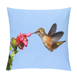 Personality  Rufous Hummingbird (Selasphorus Rufus) Pillow Covers