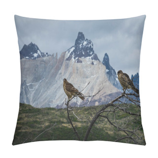 Personality  Pair Of Birds Posing In The Dry Branches Of A Bush, Behind The Birds, The Snowy Peaks Of Torres Del Paine Pillow Covers