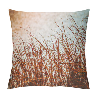 Personality  Sedge On The Lake Pillow Covers