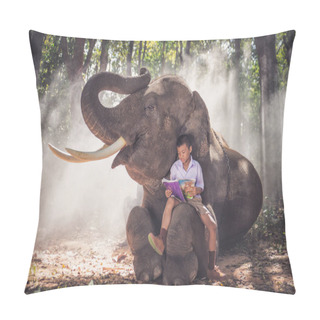 Personality  School Boy Playing In The Jungle With His Friend Elephant Pillow Covers
