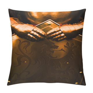 Personality  Knight - With Brown Color Pillow Covers