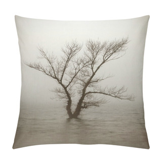 Personality  Lonely Tree In Aged Textured Art Background. Pillow Covers