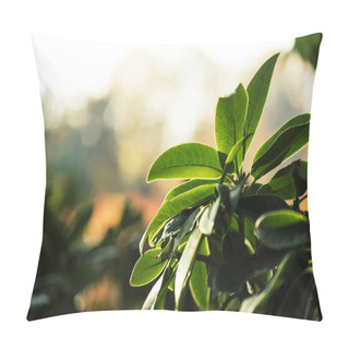 Personality  Green Leaves Pillow Covers