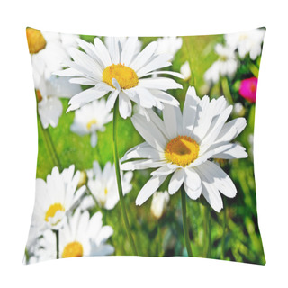 Personality Wildflowers Daisies Pillow Covers