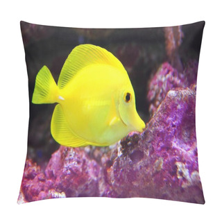 Personality Yellow Hawaiian Tang Sailfin Surgeonfish Pillow Covers