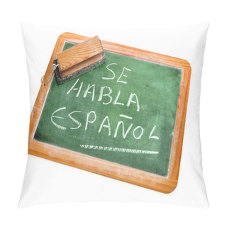 Personality  Spanish Is Spoken Pillow Covers
