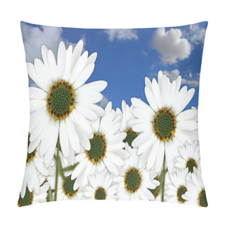 Personality  Bright Pretty Daisies Outdoors In A Fiel Pillow Covers