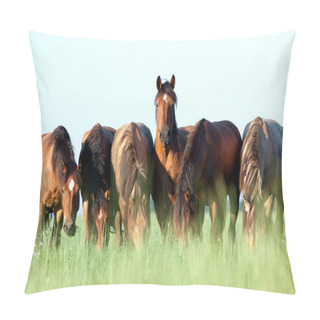 Personality  Young Horses Eating Grass In Field Pillow Covers